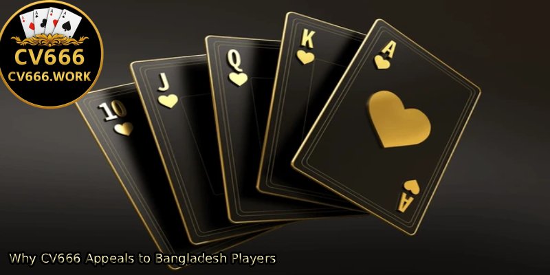 Why-CV666-Appeals-to-Bangladesh-Players 